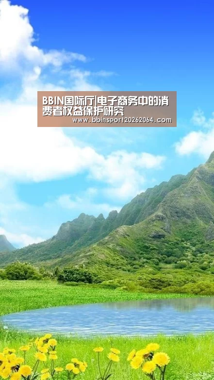 BBIN国际厅|电子商务中的消费者权益保护研究